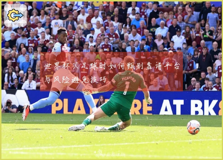 世界杯买足球时如何甄别靠谱平台与风险避免技巧