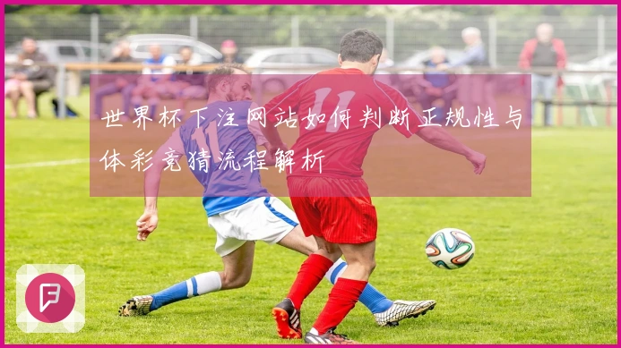 世界杯下注网站如何判断正规性与体彩竞猜流程解析
