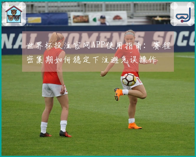 世界杯投注官网APP使用指南：赛程密集期如何稳定下注避免误操作